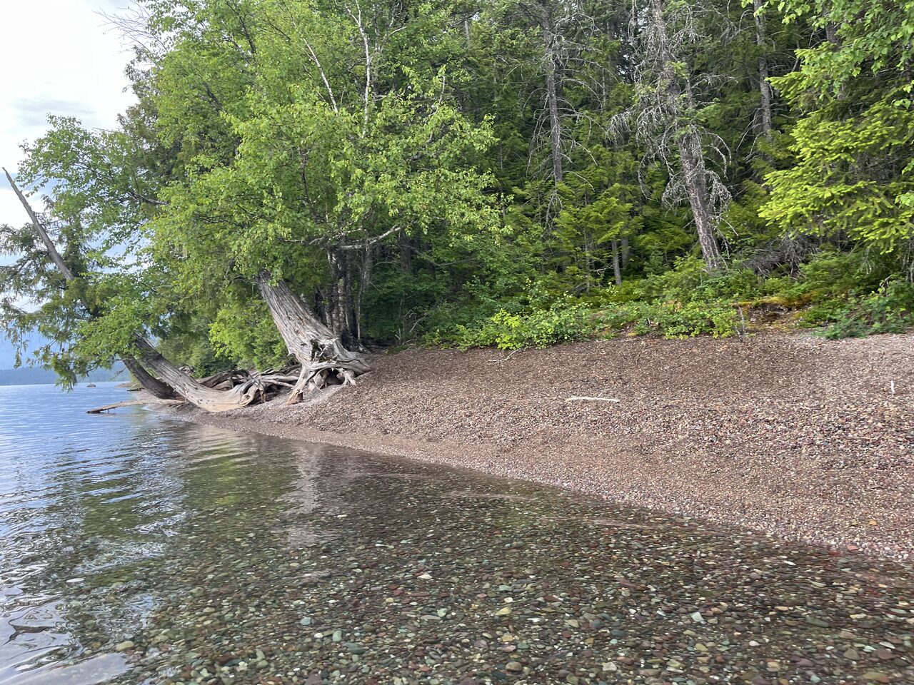 Lake McDonald and McDonald Creek in Glacier National Park, photographed from the water in July 2026