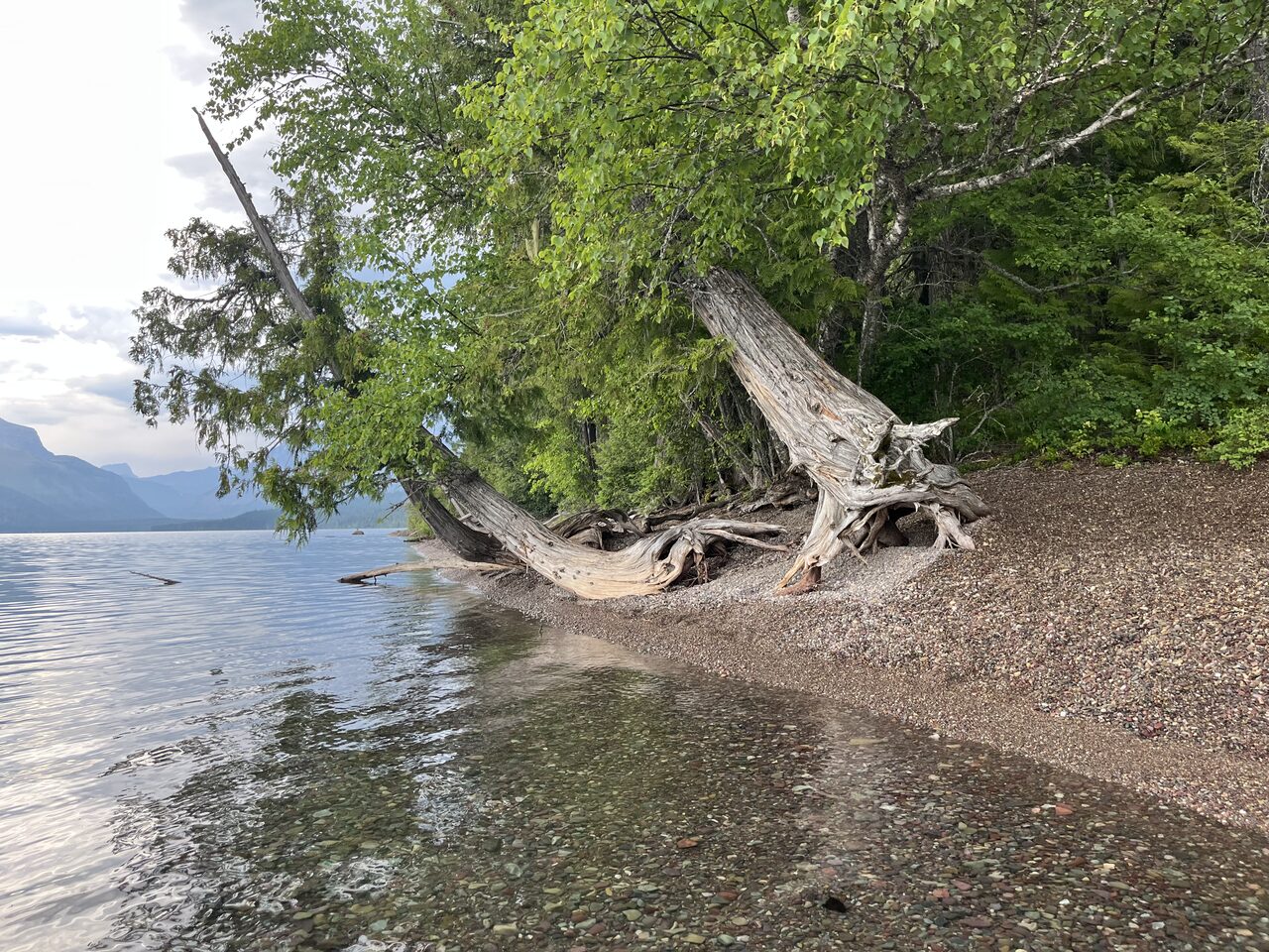 Lake McDonald and McDonald Creek in Glacier National Park, photographed from the water in July 2026