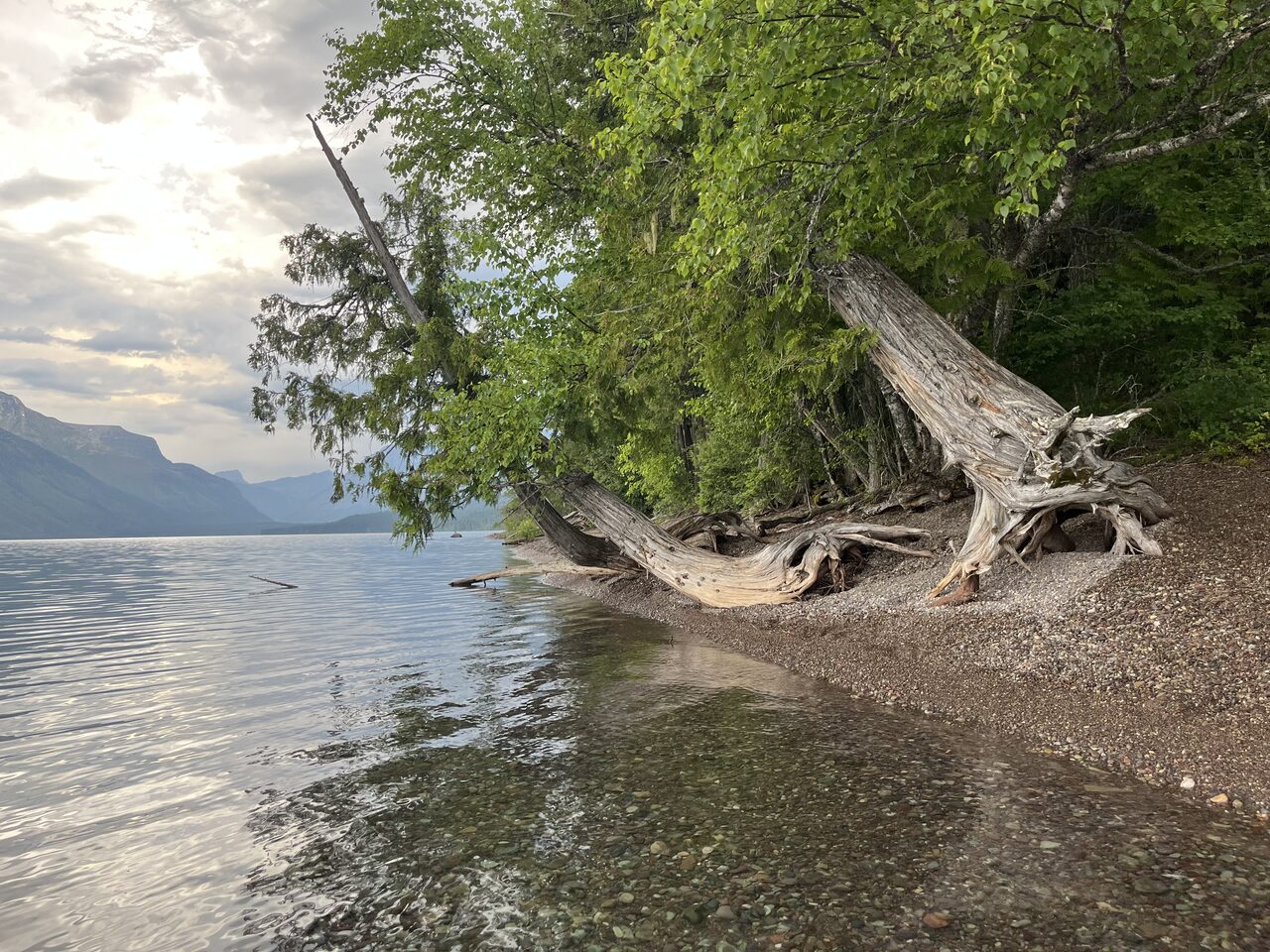 Lake McDonald and McDonald Creek in Glacier National Park, photographed from the water in July 2026