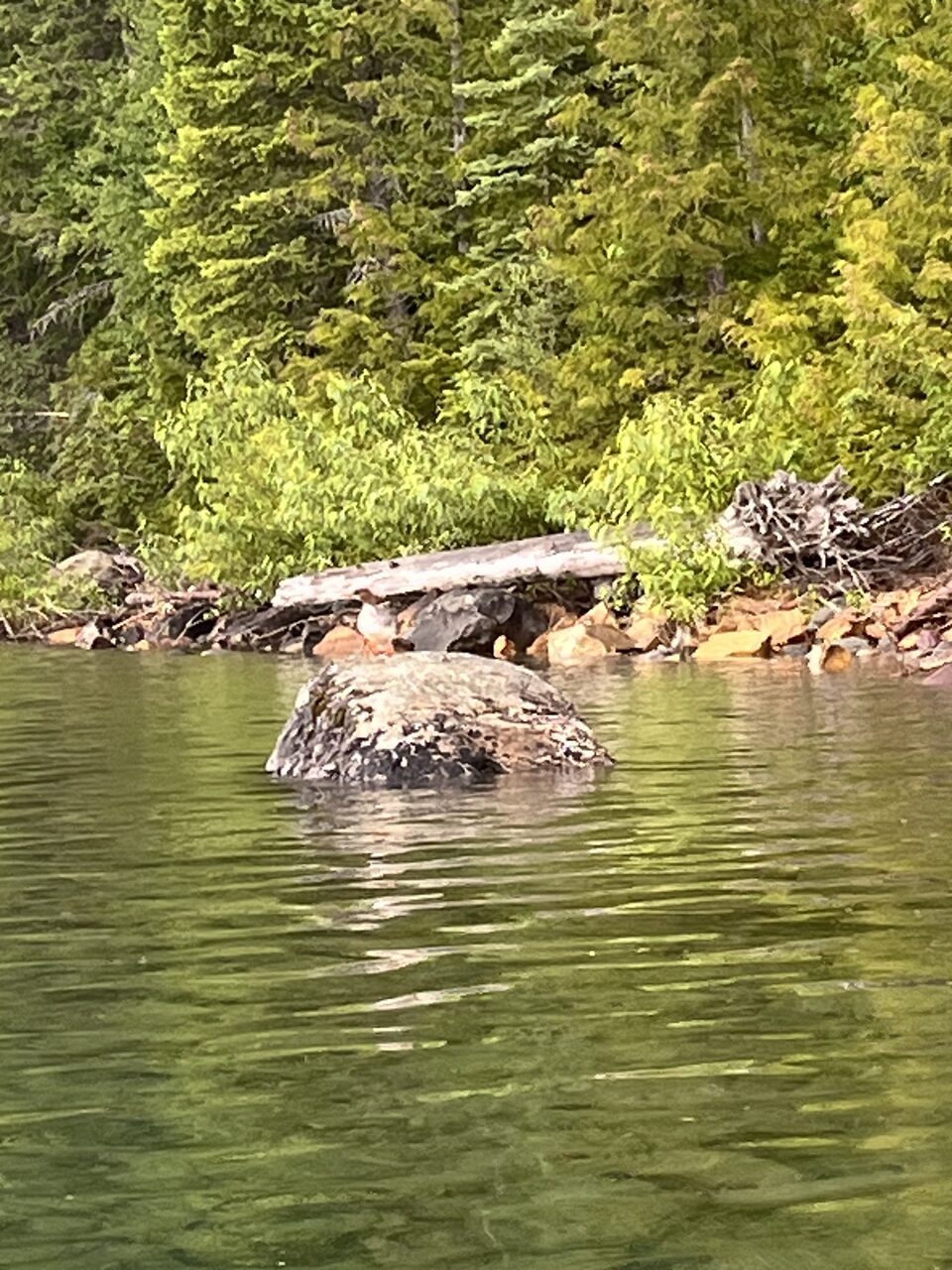 Lake McDonald and McDonald Creek in Glacier National Park, photographed from the water in July 2026
