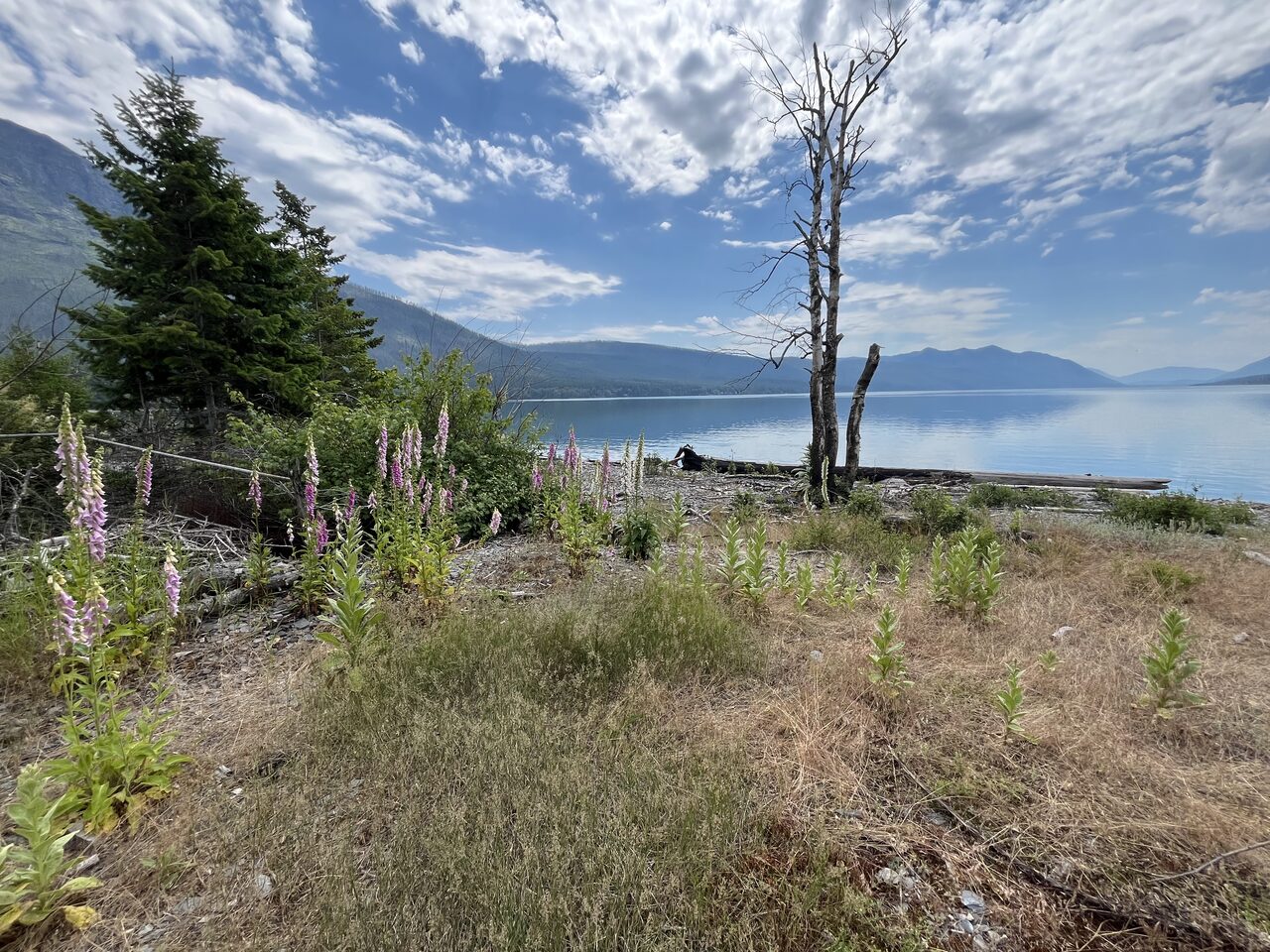Lake McDonald and McDonald Creek in Glacier National Park, photographed from the water in July 2026