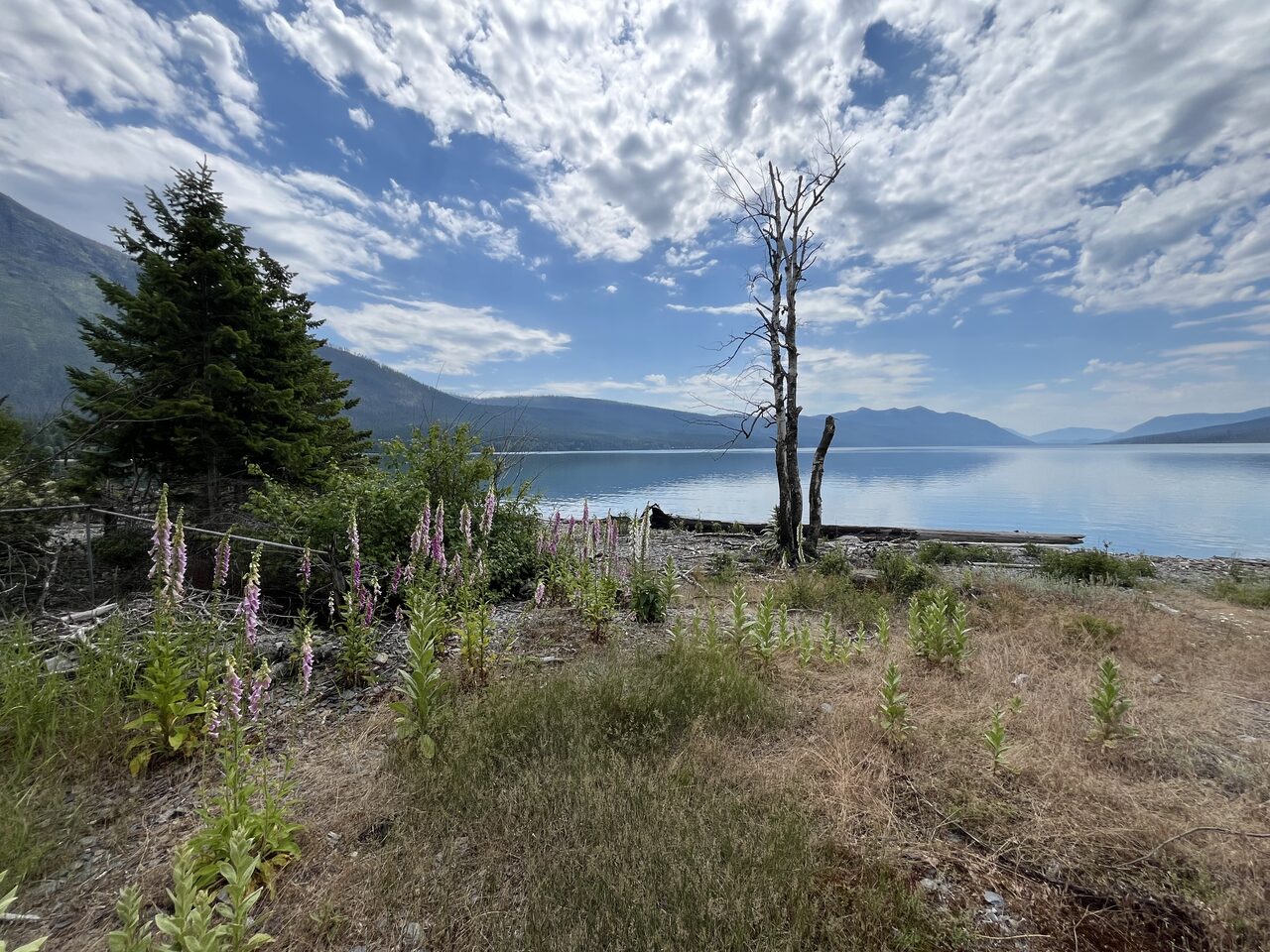 Lake McDonald and McDonald Creek in Glacier National Park, photographed from the water in July 2026