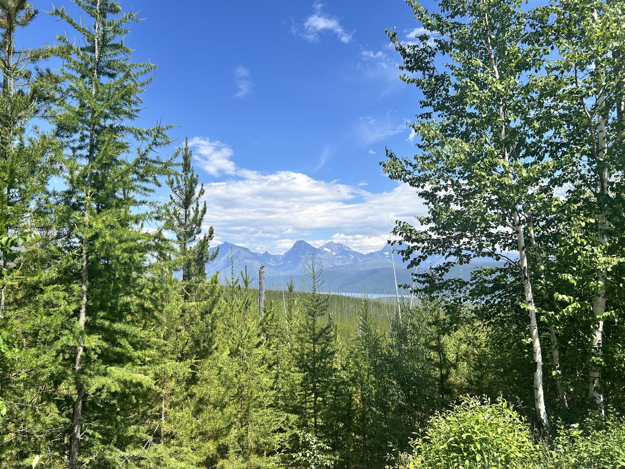 Lake McDonald and McDonald Creek in Glacier National Park, photographed from the water in July 2026