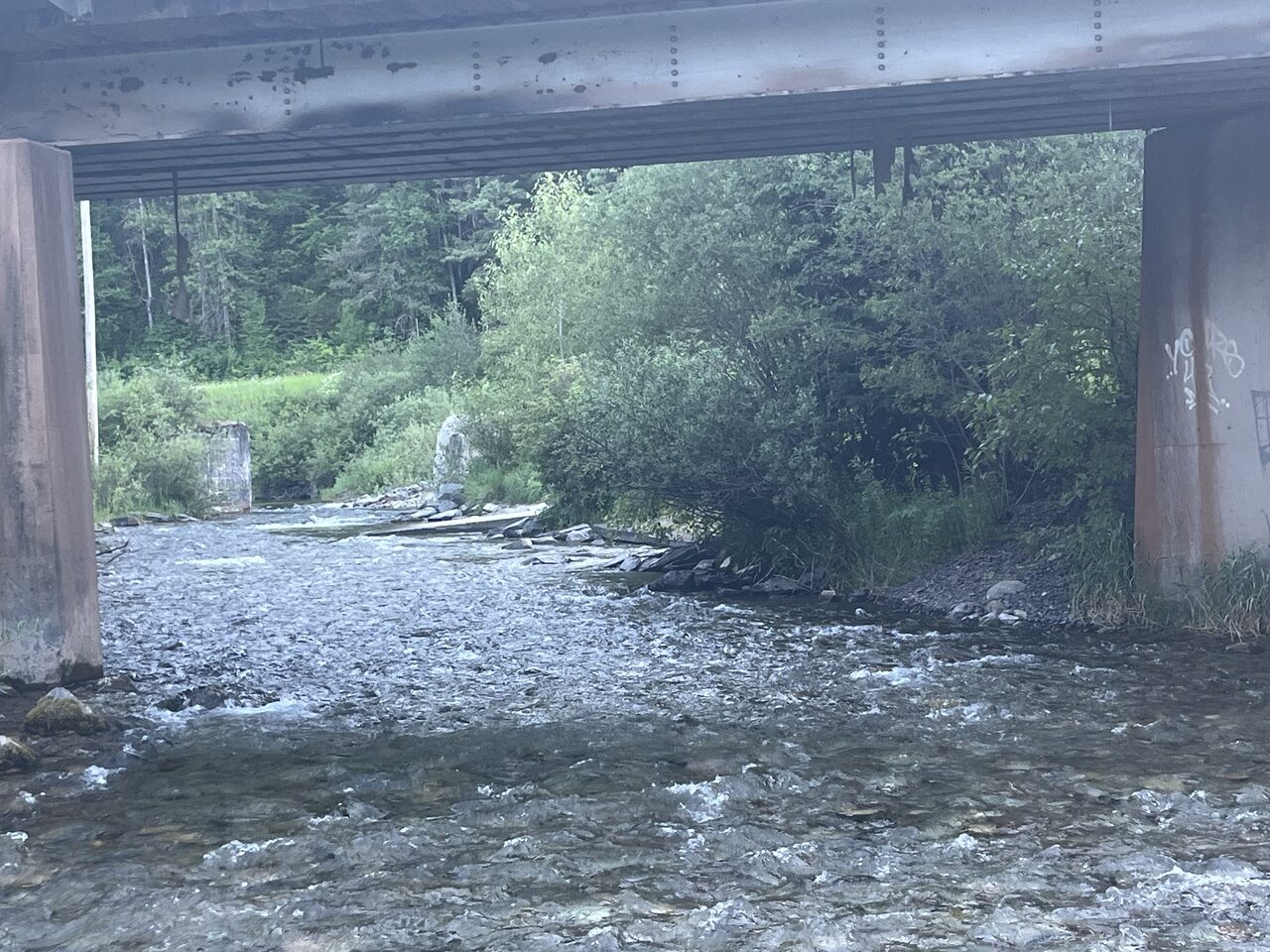 Another view of the access at Moccasin Creek on the Middle Fork.