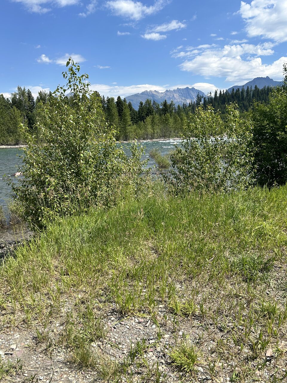 Another view of the access at Wurtz on the North Fork.